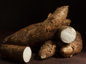 Manioc Frais Biologique
